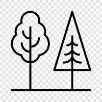 tree, forestry, leaves, bark icon svg