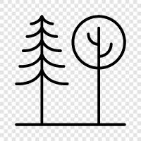 tree, palm, fronds, leaves icon svg