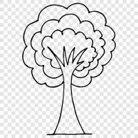 tree, trees, forest, foliage icon svg