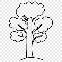 tree icon svg