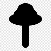 tree icon svg