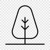 tree icon svg