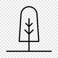 tree icon svg