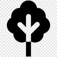 tree icon svg