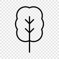 tree icon svg