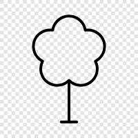 tree, bark, leaves, needles icon svg