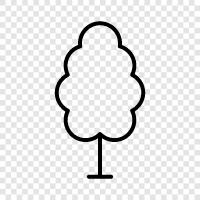 tree, trees, leaf, leaves icon svg