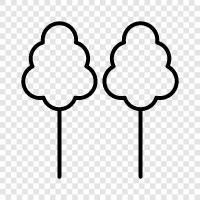 tree, leaves, branches, bark icon svg