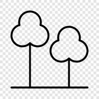 tree, leaves, bark, branches icon svg