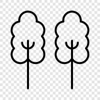 tree, trees for sale, tree planting, tree removal icon svg