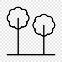 tree, foliage, leaves, bark icon svg