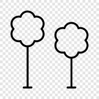 tree, forestry, forest, sapling icon svg