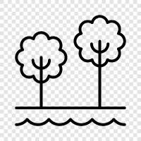 tree, forest, forestry, plantation icon svg