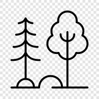 Baum, Wald, Schnittholz, Holz symbol