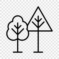 tree, leaves, bark, flowers icon svg