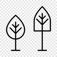 tree, forestry, forest, forestry management icon svg