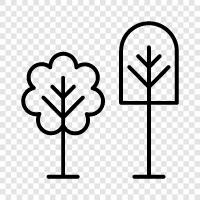 tree, leaves, branches, bark icon svg