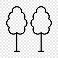 tree, wood, lumber, trunk icon svg