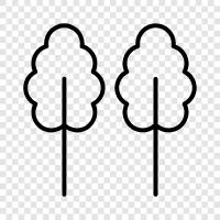 tree, foliage, leaves, bark icon svg