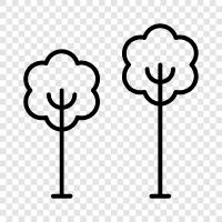 tree, foliage, leaves, bark icon svg