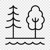 tree, leaves, bark, branches icon svg