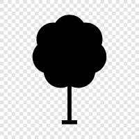 tree, trees, foliage, leaves icon svg