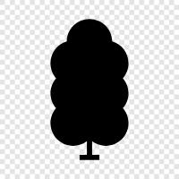 tree, trees, lumber, wood icon svg