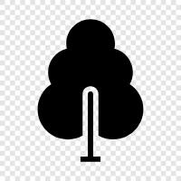 tree icon svg