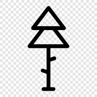 tree, needles, cones, Christmas icon svg