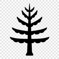 tree, needles, forest, Christmas icon svg