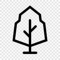 tree icon svg