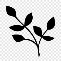 Baum, Ast, Stiel, Blätter symbol