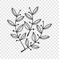 tree, blossom, petal, branch icon svg