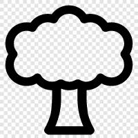 tree health, tree planting, tree maintenance, tree removal icon svg