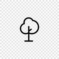 Tree Leaf, Tree Trunk, Leaf, Leaf Structure icon svg