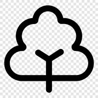 tree nursery, tree planting, tree care, tree for sale icon svg