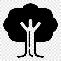 Ağaç fidanlığı, Ağaç ekimi, Ağaç bakımı, Ağaç kaldırma ikon svg