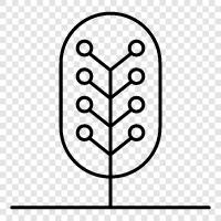 tree nursery, tree planting, tree care, tree removal icon svg