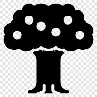 Ağaç Bitkisi, Ağaç Bakımı, Ağaç Giderme, Ağaç Hizmetleri ikon svg