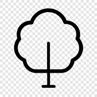 Tree Plant, Tree Fruits, Tree Leaves, Tree Structure icon svg