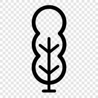 Tree Plant, Tree Seed, Tree Care, Tree Removal icon svg