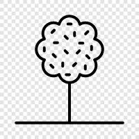 Tree Plant, Tree Care, Tree Removal, Tree Service icon svg