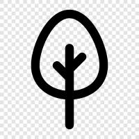 Tree planting, Tree care, Tree care tips, Tree fertilization icon svg