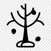 tree icon svg