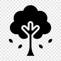 tree icon svg