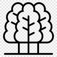 Baum, Holz, Schnittholz, Holzbearbeitung symbol