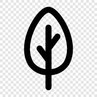 tree, green, growth, leaves icon svg