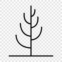 Baum, Bäume, Blatt, Blätter symbol