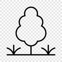 Baum, Forstwirtschaft, Baumzucht, Baumpflanzung symbol