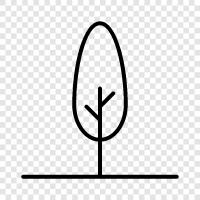 tree icon svg